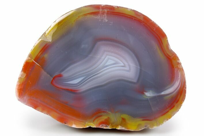 Colorful, Polished Patagonia Agate - Fluorescent! #260760